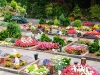 Foto: Roland Moers - 2009