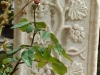 Foto: Helga Wilutzki - 2011