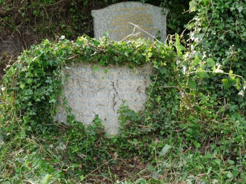 Foto: Anke Bührmann - 2010